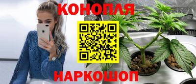 ешки Тверь