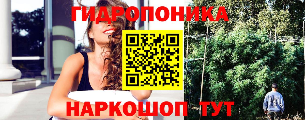 Бошки марихуана Amnesia Тихорецк